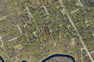 SW Bumble St, Fort White, FL 32038 - Photo 1