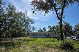 8851 NE 105th Ave, Bronson, FL 32621 - Photo 3