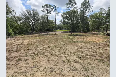 8851 NE 105th Avenue, Bronson, FL 32621 - Photo 15