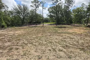 8851 NE 105th Ave, Bronson, FL 32621 - Photo 15