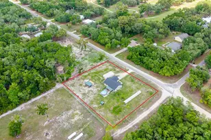 11030 NW 100 Ave, Chiefland, FL 32626 - Photo 37