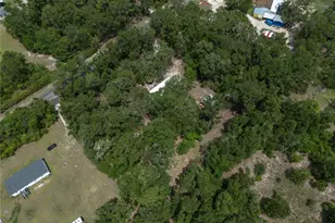183 S W Rum Island Terrace, Fort White, FL 32038 - Photo 51