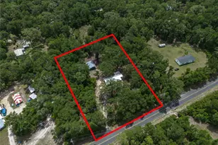 183 S W Rum Island Terrace, Fort White, FL 32038 - Photo 53