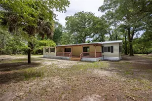 183 S W Rum Island Terrace, Fort White, FL 32038 - Photo 3