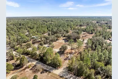 12750 NE 65th Street, Williston, FL 32696 - Photo 5