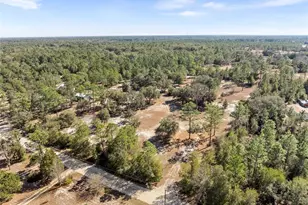 12750 NE 65 St, Williston, FL 32696 - Photo 5