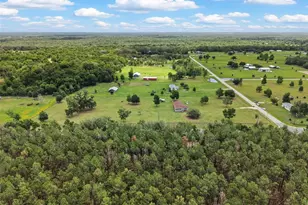 133 SW Sedgefield Ln, Fort White, FL 32038 - Photo 39