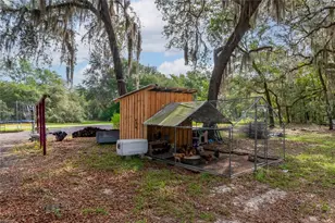 134 Faye St, Hawthorne, FL 32640 - Photo 27