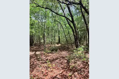 83rd Lane, Bronson, FL 32621 - Photo 3