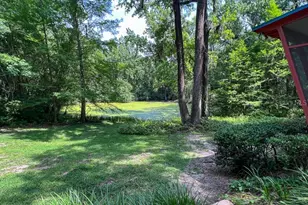 411 NW 26th St, Gainesville, FL 32607 - Photo 3