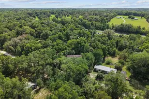 21390 NW 59th Ave, Micanopy, FL 32667 - Photo 33