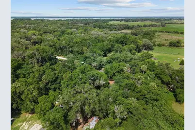 21390 NW 59th Avenue, Micanopy, FL 32667 - Photo 37