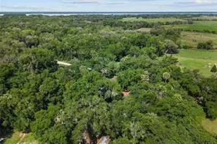 21390 NW 59th Ave, Micanopy, FL 32667 - Photo 37