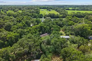 21390 NW 59th Ave, Micanopy, FL 32667 - Photo 31
