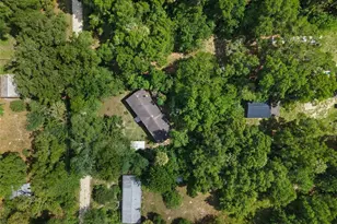21390 NW 59th Ave, Micanopy, FL 32667 - Photo 41