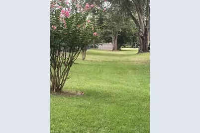 3758 NW 56th Lane, Gainesville, FL 32653 - Photo 37