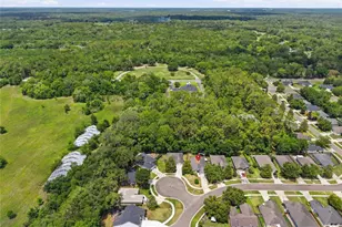 14061 NW 9th Rd, Newberry, FL 32669 - Photo 3