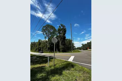 Thrasher Dr, Bronson, FL 32621 - Photo 5
