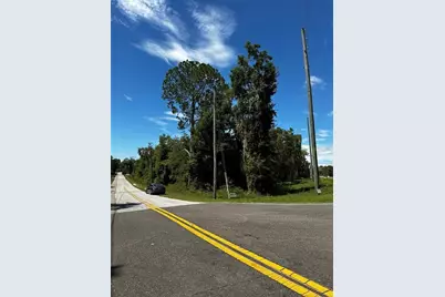Thrasher Dr, Bronson, FL 32621 - Photo 3