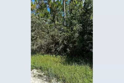 Xx SE 21st Place, Williston, FL 32696 - Photo 3