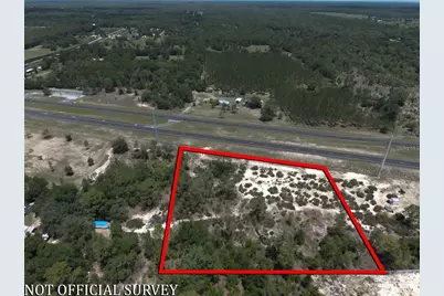 Tbd NE Hwy 27 Alt, Lot 2, Williston, FL 32696 - Photo 3