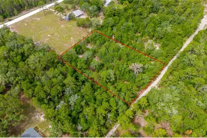 7930 NE 121st Street, Bronson, FL 32621 - Photo 3