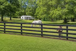 12820 NW 116th Pl, Alachua, FL 32615 - Photo 25