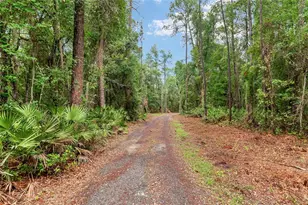 7622 SE County Road 234, Gainesville, FL 32641 - Photo 3
