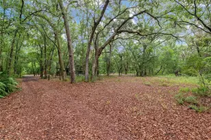 7622 SE County Road 234, Gainesville, FL 32641 - Photo 51