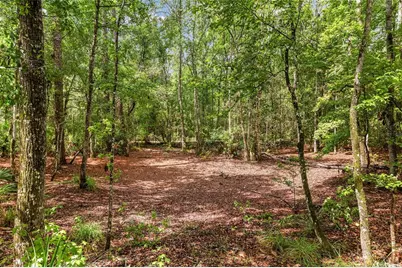 7622 SE County Road 234, Gainesville, FL 32641 - Photo 57