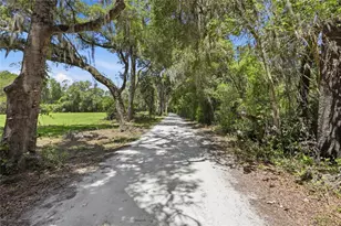 1224 NW 143rd St, Newberry, FL 32669 - Photo 7