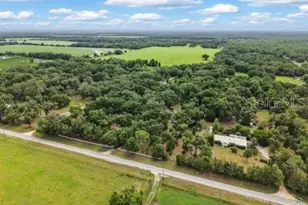 3551 NW 60th Ave, Chiefland, FL 32626 - Photo 41