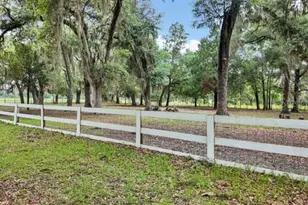 3551 NW 60th Ave, Chiefland, FL 32626 - Photo 5
