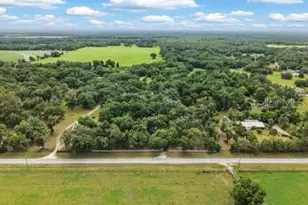 3551 NW 60th Ave, Chiefland, FL 32626 - Photo 43