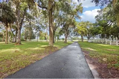 3551 NW 60th Avenue, Chiefland, FL 32626 - Photo 3