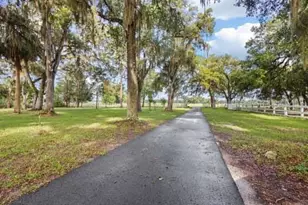 3551 NW 60th Ave, Chiefland, FL 32626 - Photo 3
