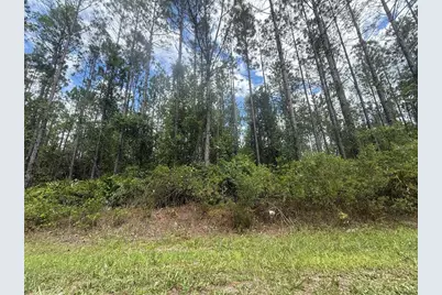 Sw 89th Street, Lake Butler, FL 32054 - Photo 3
