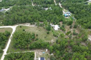 7220 NE 24th Loop, High Springs, FL 32643 - Photo 31