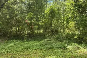 8230 NW 166th St, Fanning Springs, FL 32693 - Photo 1