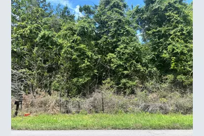 11916 NW 80th Court, Chiefland, FL 32626 - Photo 5