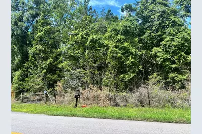 11916 NW 80th Court, Chiefland, FL 32626 - Photo 3