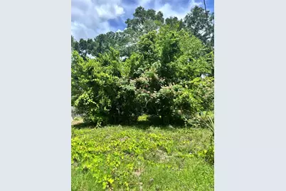 206 NE 13th Avenue, Chiefland, FL 32626 - Photo 1