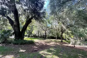905 NW 21st Ave, Gainesville, FL 32609 - Photo 29