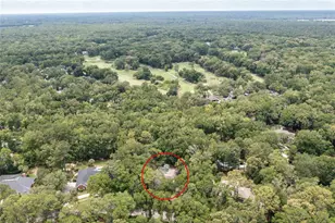 4208 SW 96 Dr, Gainesville, FL 32608 - Photo 7
