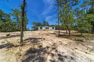 14830 SE 21st Pl, Morriston, FL 32668 - Photo 53