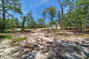 14830 SE 21st Pl, Morriston, FL 32668 - Photo 47