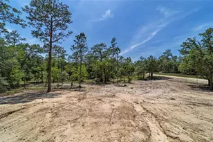 14830 SE 21st Pl, Morriston, FL 32668 - Photo 13