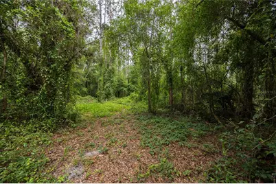229 SW Barwick Terrace, Lake City, FL 32024 - Photo 33