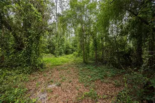 229 SW Barwick Ter, Lake City, FL 32024 - Photo 33