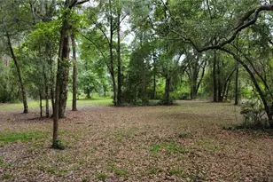 23707 NE State Rd 26, Melrose, FL 32666 - Photo 39